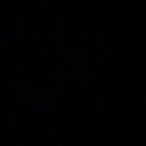 Meet your Posher, Ginette